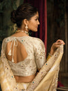 Chiku Pure Ziraf Silk Saree with Mirror Work and Jari Cutdana Moti