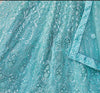 Butterfly net lehenga choli for Toronto wedding celebrations