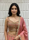 Embroidered Tissue Choli With Matching Tissue Dupatta Close View