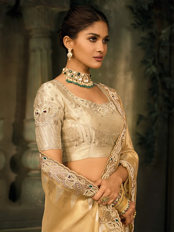 Chiku Pure Ziraf Silk Saree with Mirror Work and Jari Cutdana Moti