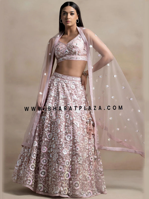 Light pink embroidered lehenga back design for bridesmaids and Indian weddings Sydney Australia