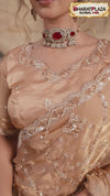 Champagne Peach Velvet Satin Designer Embellished Saree
